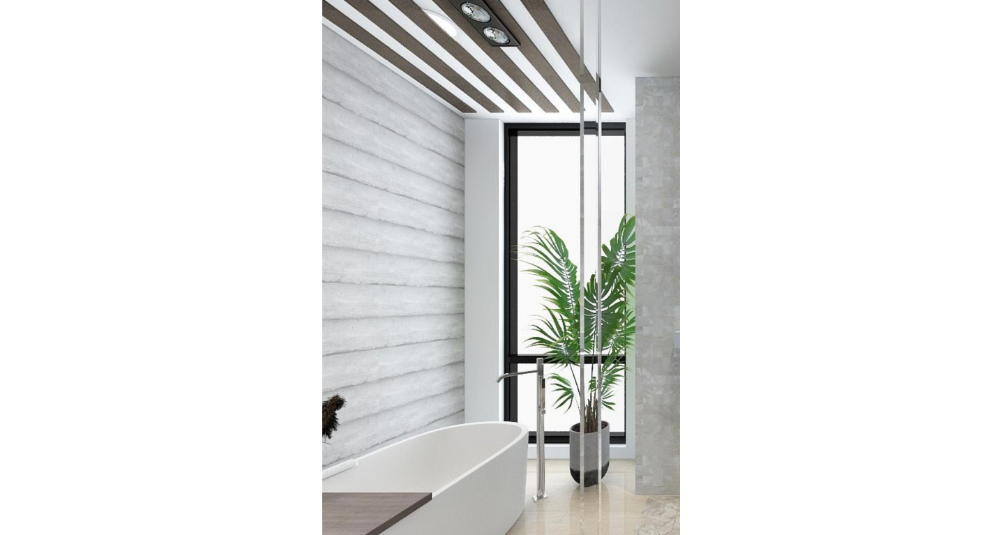 amii__project-bfa-verticals07